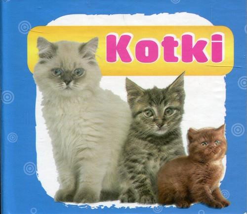 

Kotki harmonijka mała