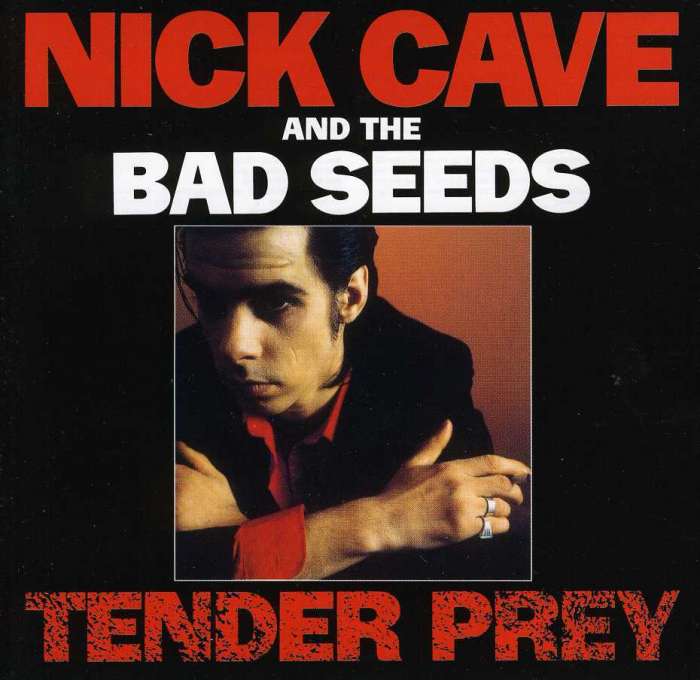 

Nick Cave, The Bad Seeds Tender Prey CD