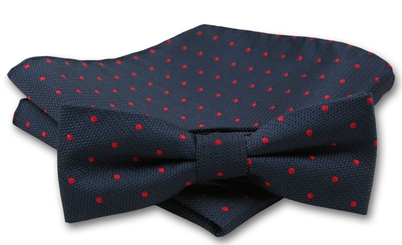 Elegancka mucha z poszetką Alties