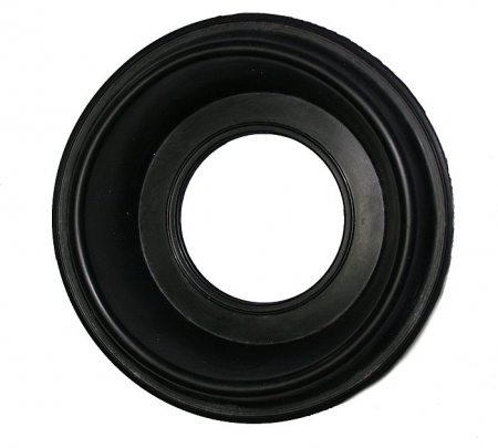 MEMBRANA MEMBRANY TRIUMPH TIGER 900 93 98 r