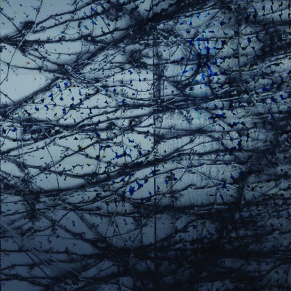 Human Rays A Tension Lp 180G Vinyl