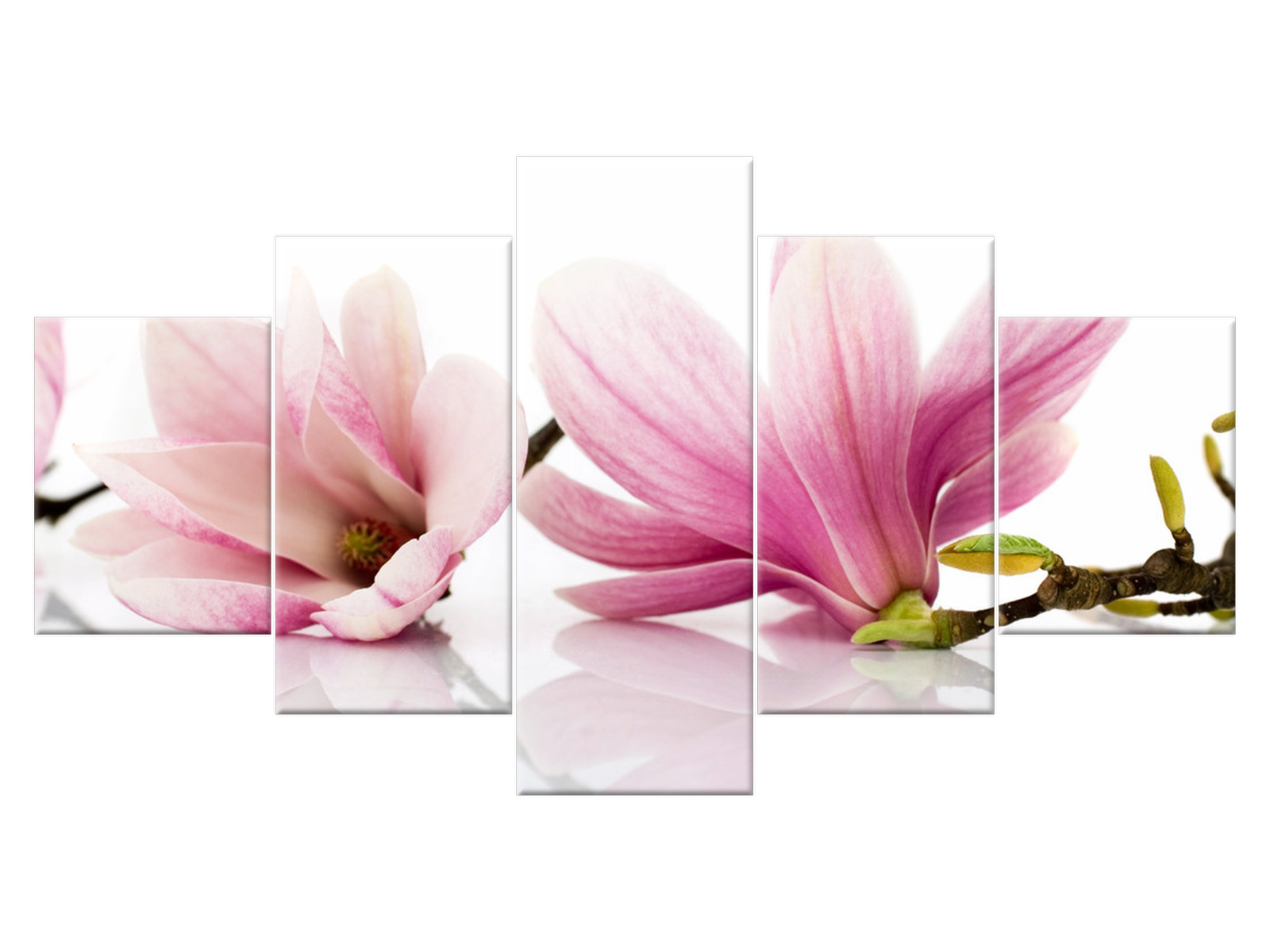 

Obraz Różowe magnolie 150x80 Kwiaty 1179A_5F