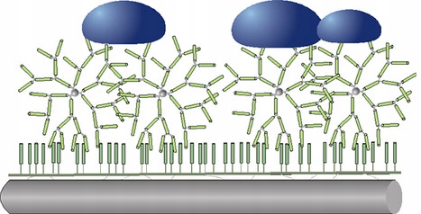 Kurtka męska WIOSENNA PRZEJŚCIOWA ciepła pikowana KUM602 OUTHORN r. XXL Model KUM602