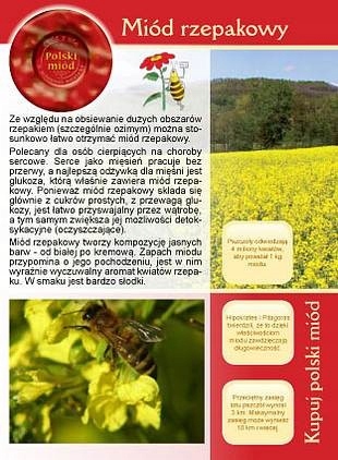 

Broszurka informacyjna Miód rzepakowy (20szt) U6