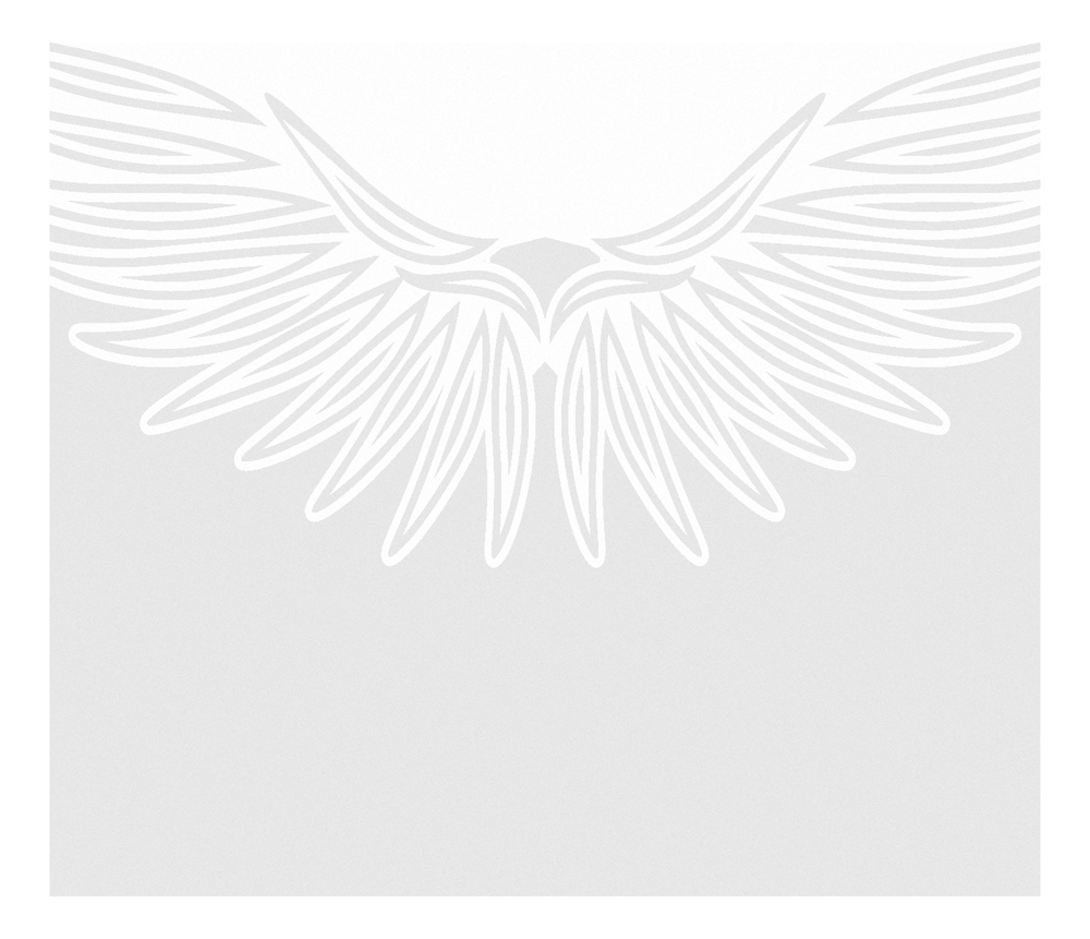 Folia matująca na okno. Skrzydła 50 cm