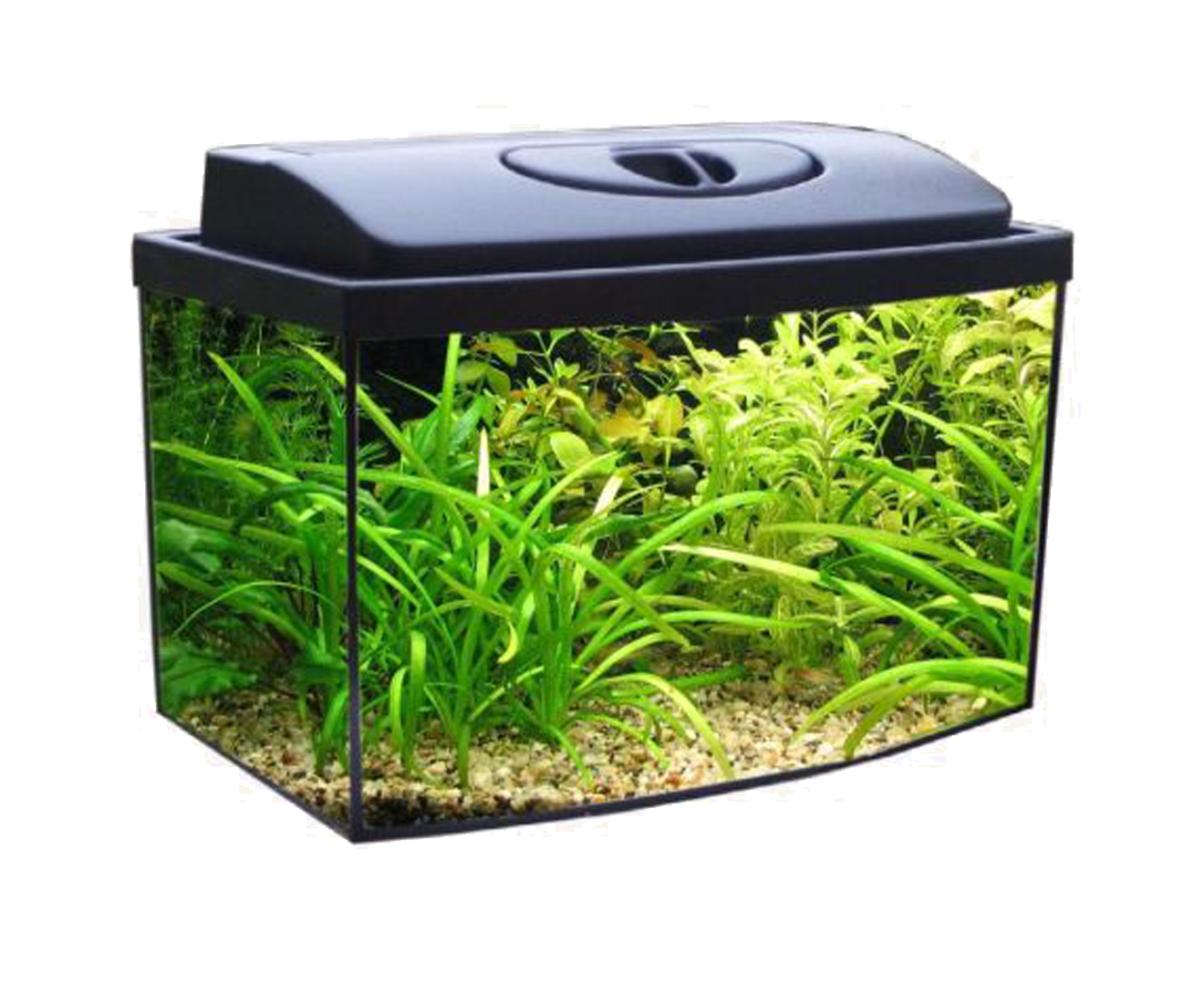 Akwarium 30l profil+ ZAMEK +FULL WYPOS+ GRATISY Akwarium 30l profil+ ZAMEK +FULL WYPOS+ GRATISY