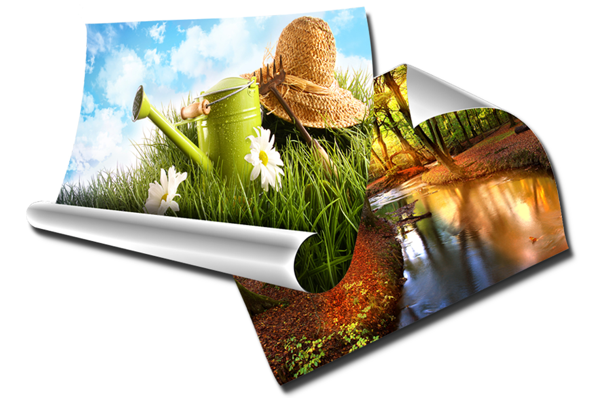 

Zdjęcie Foto-Plakat 50x70 B2