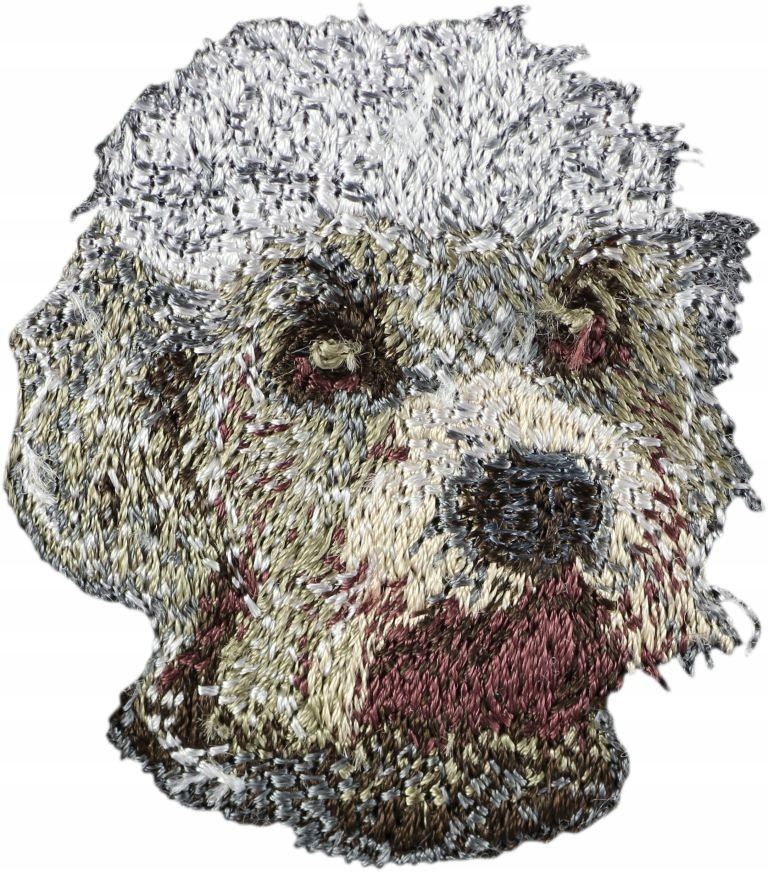 

Dandie Dinmont terrier Haft Naszywka Przyszywka