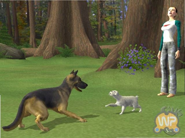 Sims 2 Pets Zwierzaki GRA GRY DLA DZIECI NA PSP Wersja językowa Angielska