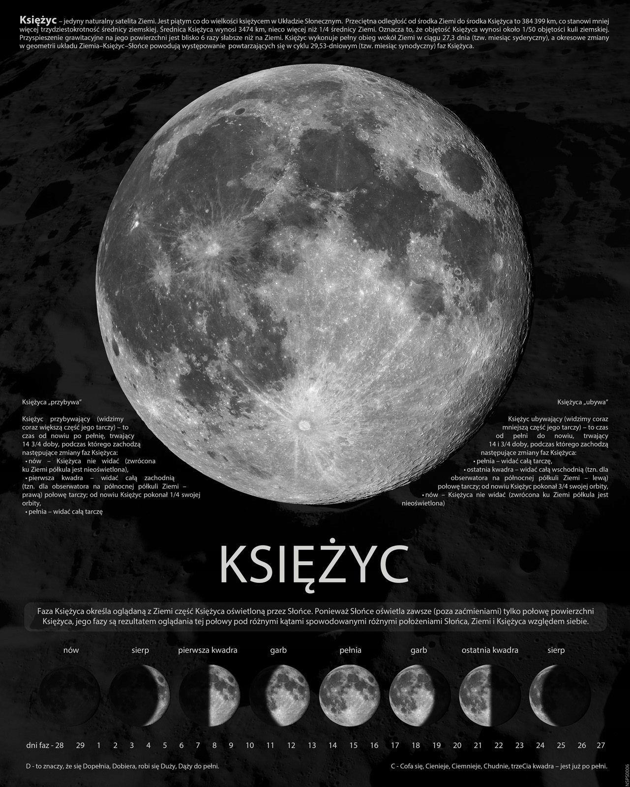 

Fazy Księżyca Informacje plakat 40x50 cm