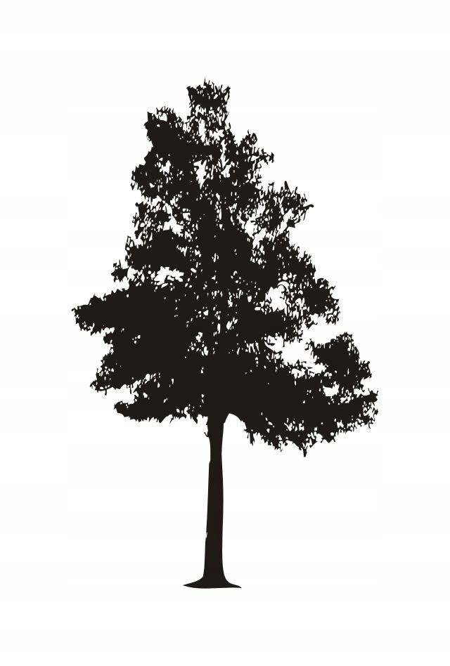 Naklejka na ścianę duże Drzewo 200 cm DRX-19