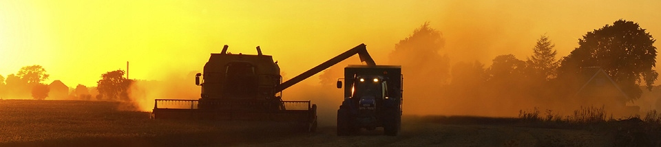 Elewcnh84018672 - ЗЕРНИСТАЯ ЦЕПЬ ZAM. 84018672 NEW HOLLAND RAIBUD