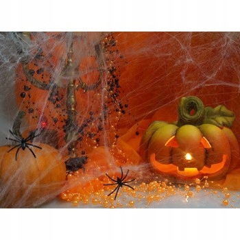 

Sztuczna pajęczyna dwa Pająki 60g Haloween