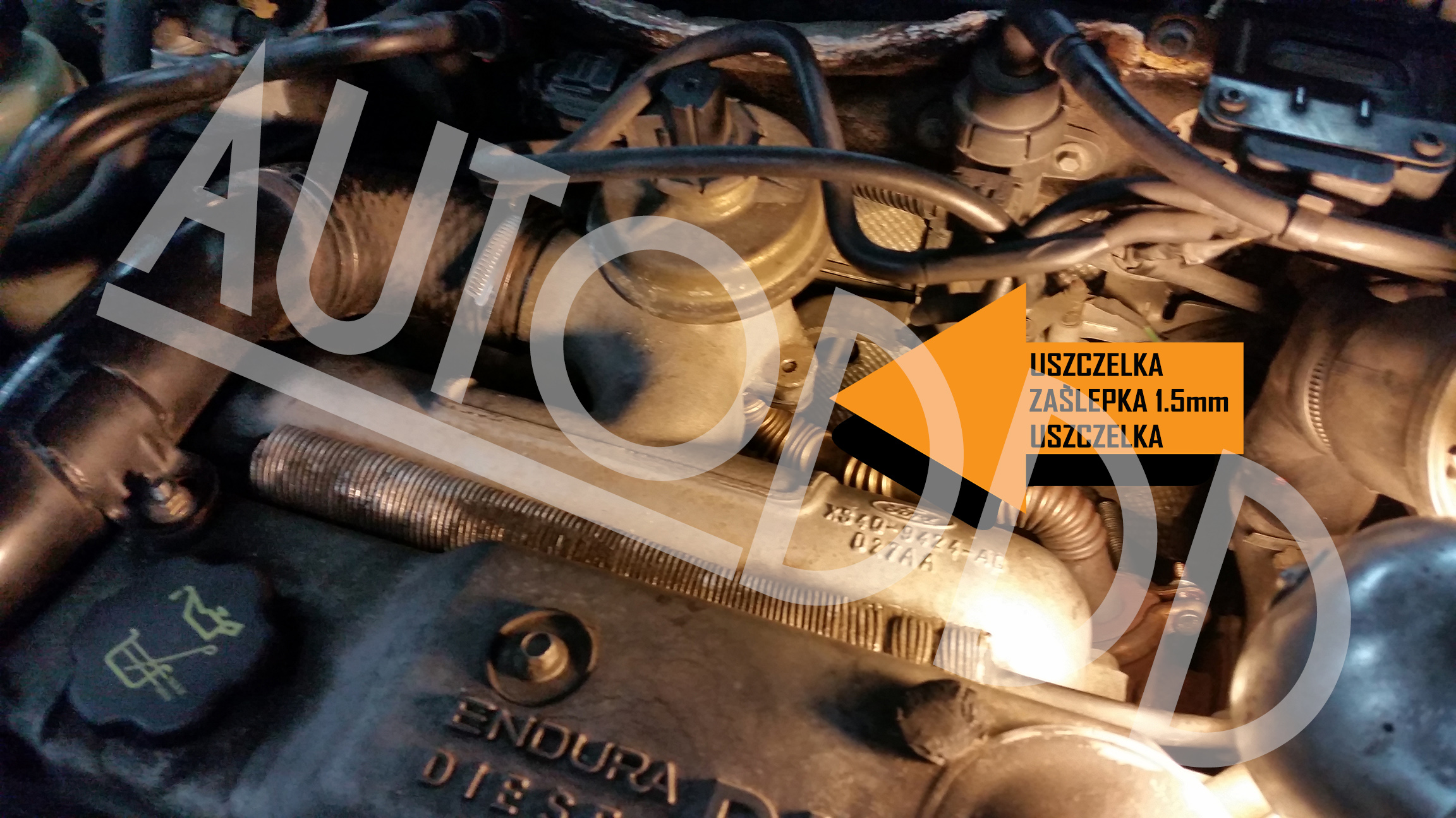 Zaślepka EGR FORD 1.8TDDI 1.8TDCI FOCUS MONDEO Producent części Inny