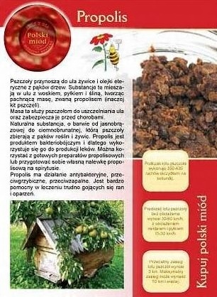 

Broszura informacyjna Propolis ul pasieka