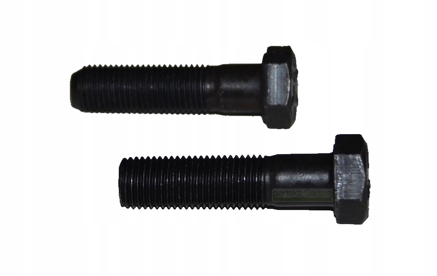 38 mm śruby CastelGarden L+P 12735694/0 12735695/0 Typ inny