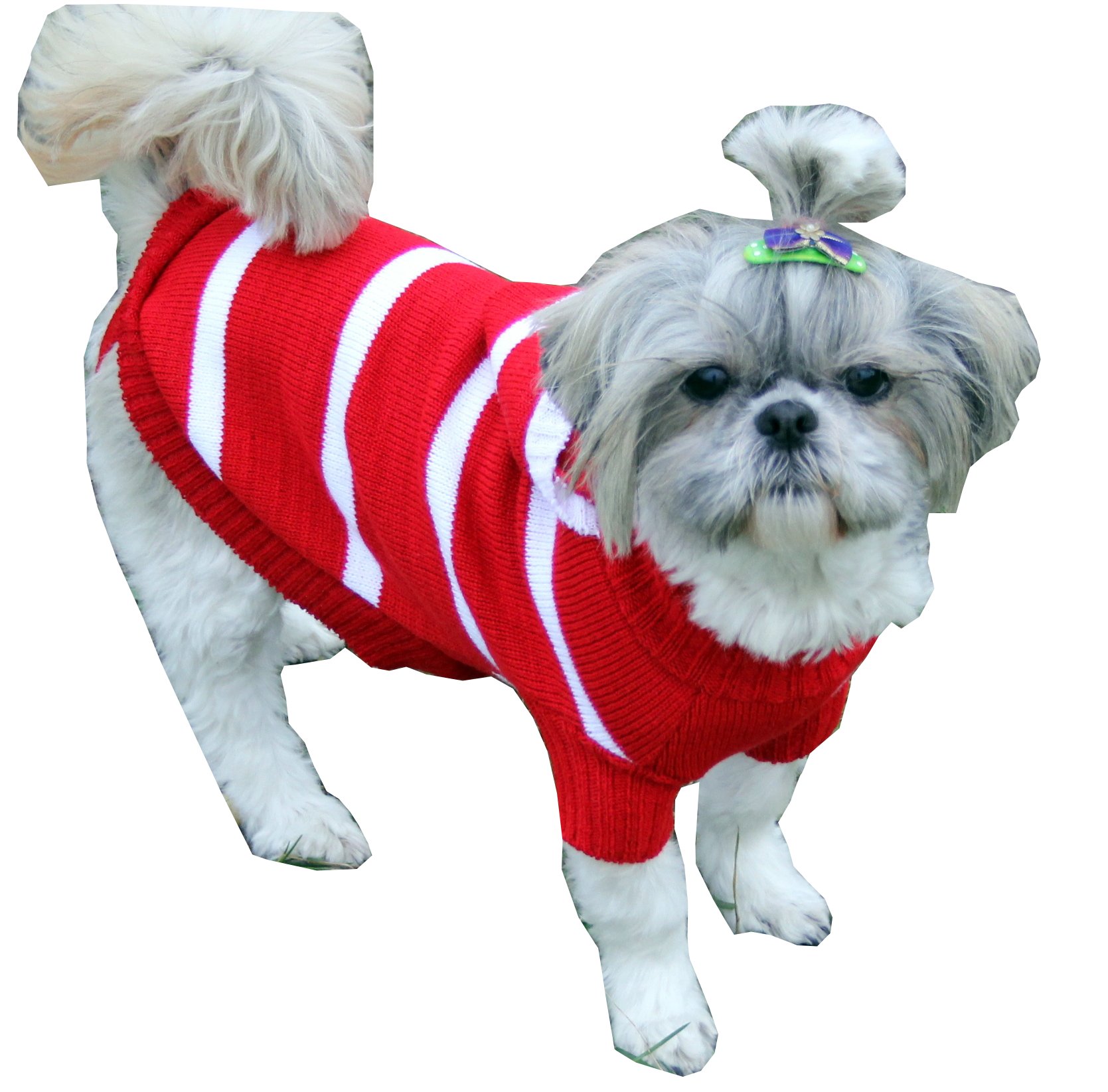 Sweterek Dla Pieska Shih Tzu Maltańczyk Dł30cm Sweterek Dla Pieska Shih Tzu Maltańczyk Dł30cm