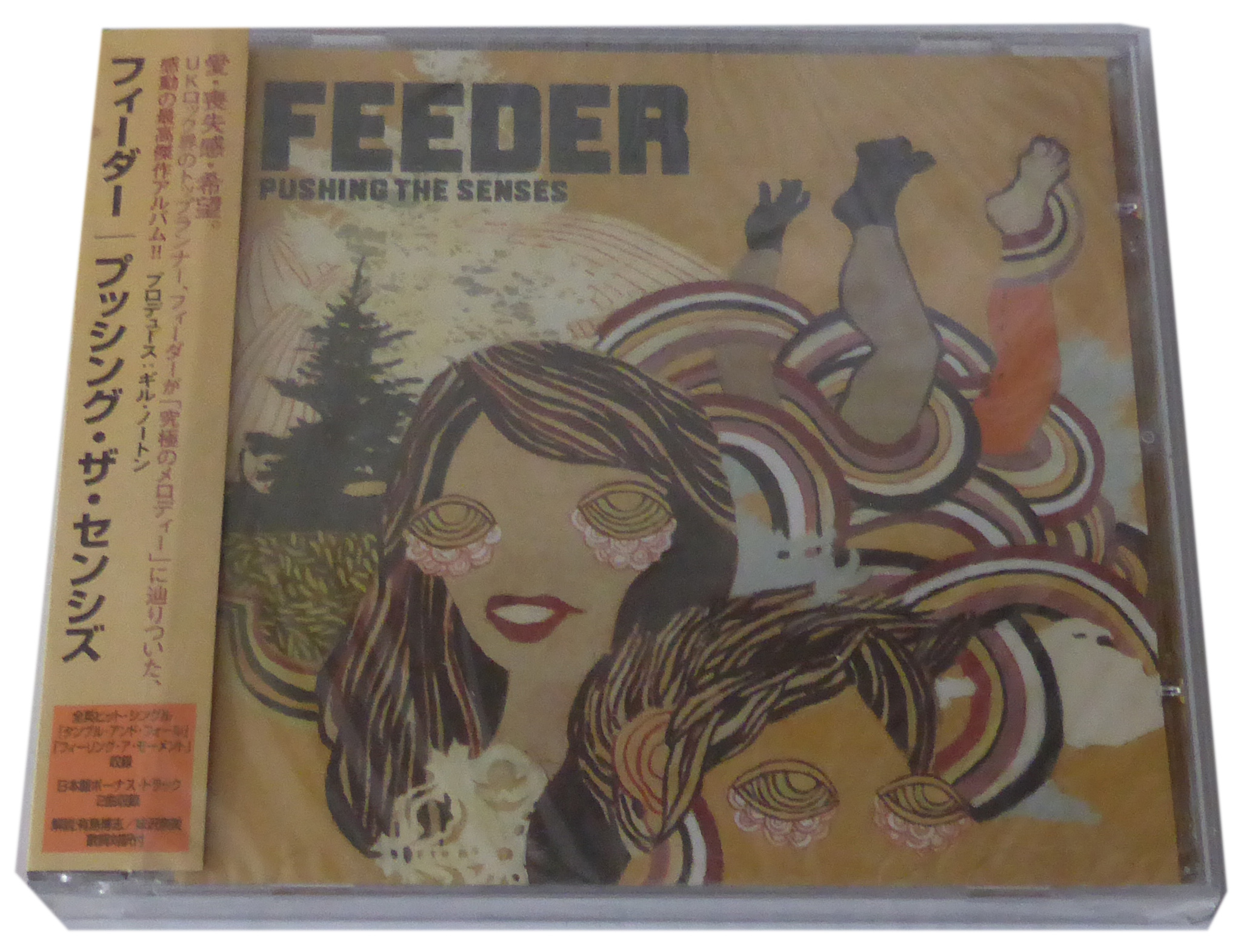 プッシングザセンシズ／フィーダー CD feeder - 洋楽