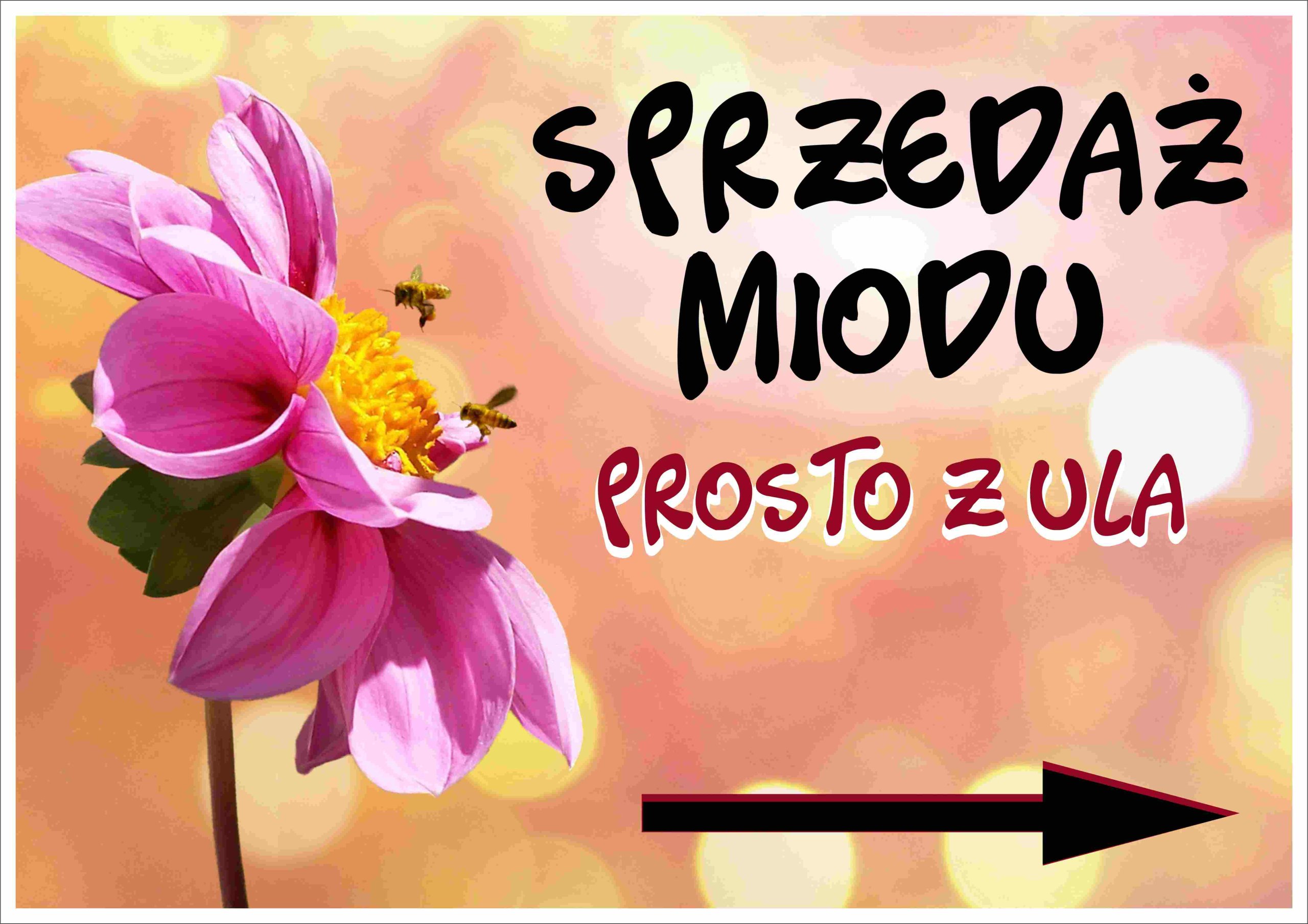 

Tablica Reklamowa miód prosto z ula~ 29,5x42