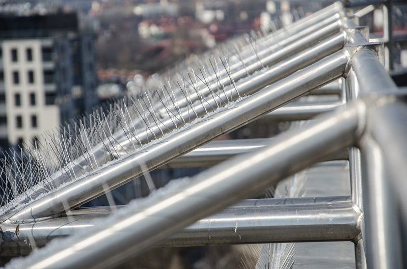 NIERDZEWNE GĘSTE KOLCE NA PTAKI GOŁĘBIE AVIK R20 Rodzaj kolce
