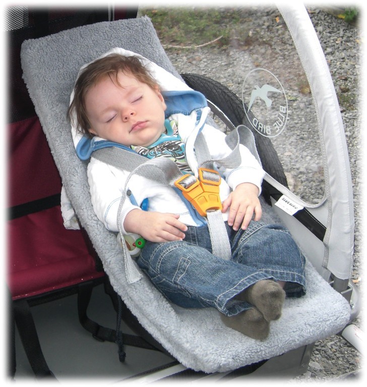 WKŁADKA DO PRZYCZEPKI ROWEROWEJ WEBER DLA DZIECI Model Weber