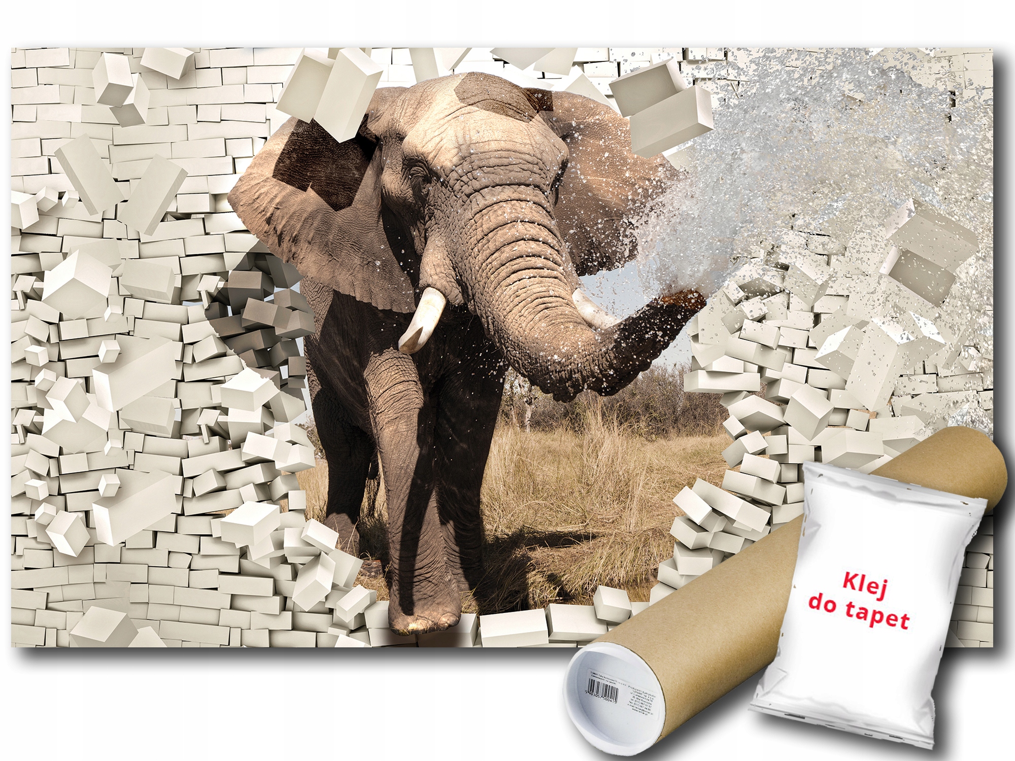 Fototapeta Slon Zdí 3D 12C V8 368x254 F3638