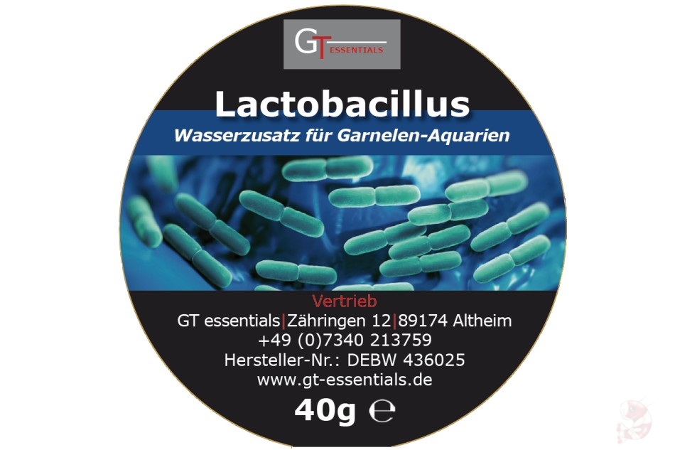GT Lactobacillus bakterie beztlenowe 10 e-