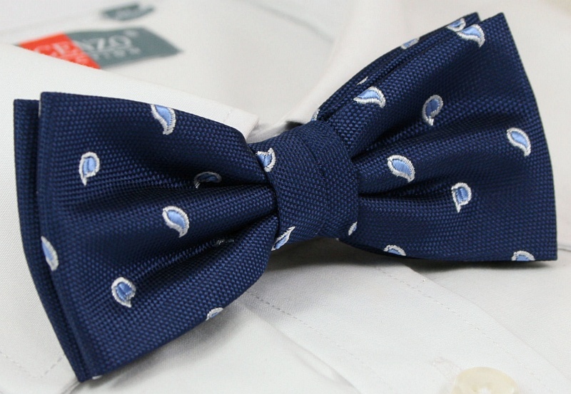 Modna mucha z poszetką - Alties Marka inna