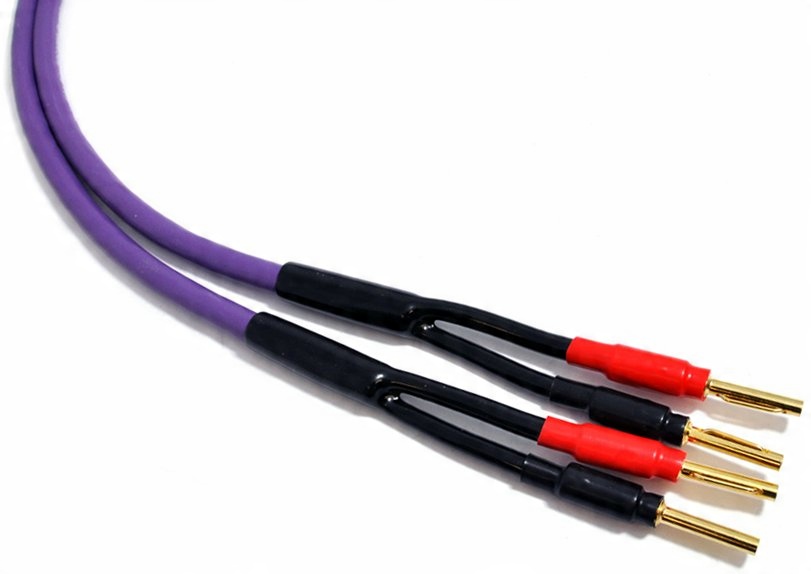 

Kabel Głośnikowy Z Wtykami Melodika MDSC15 2.5m