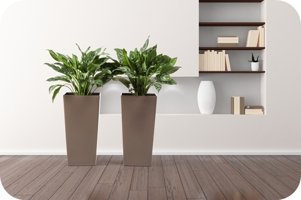 DONICZKA LAMELA FINEZJA 14x14h26+WKŁ.KOLORY/POŁYSK Długość 14 cm