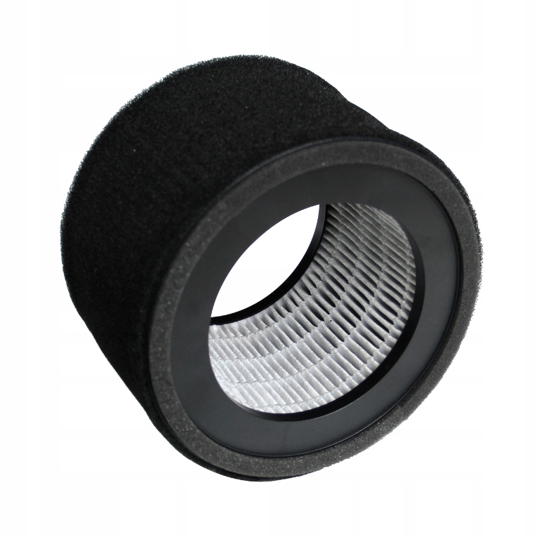 

Filtry do oczyszczacza powietrza Webber AP8115