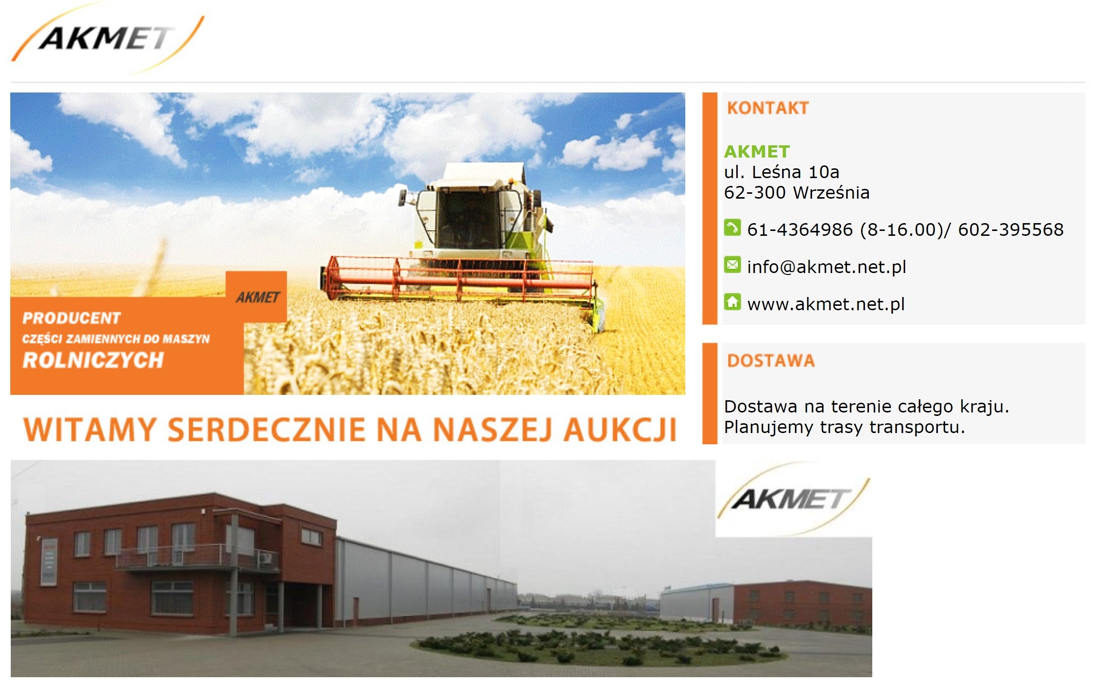 WIATROWSKAZ kogucik CZAROWNICA Baba Jaga wiedźma Typ rzeźba (figura)