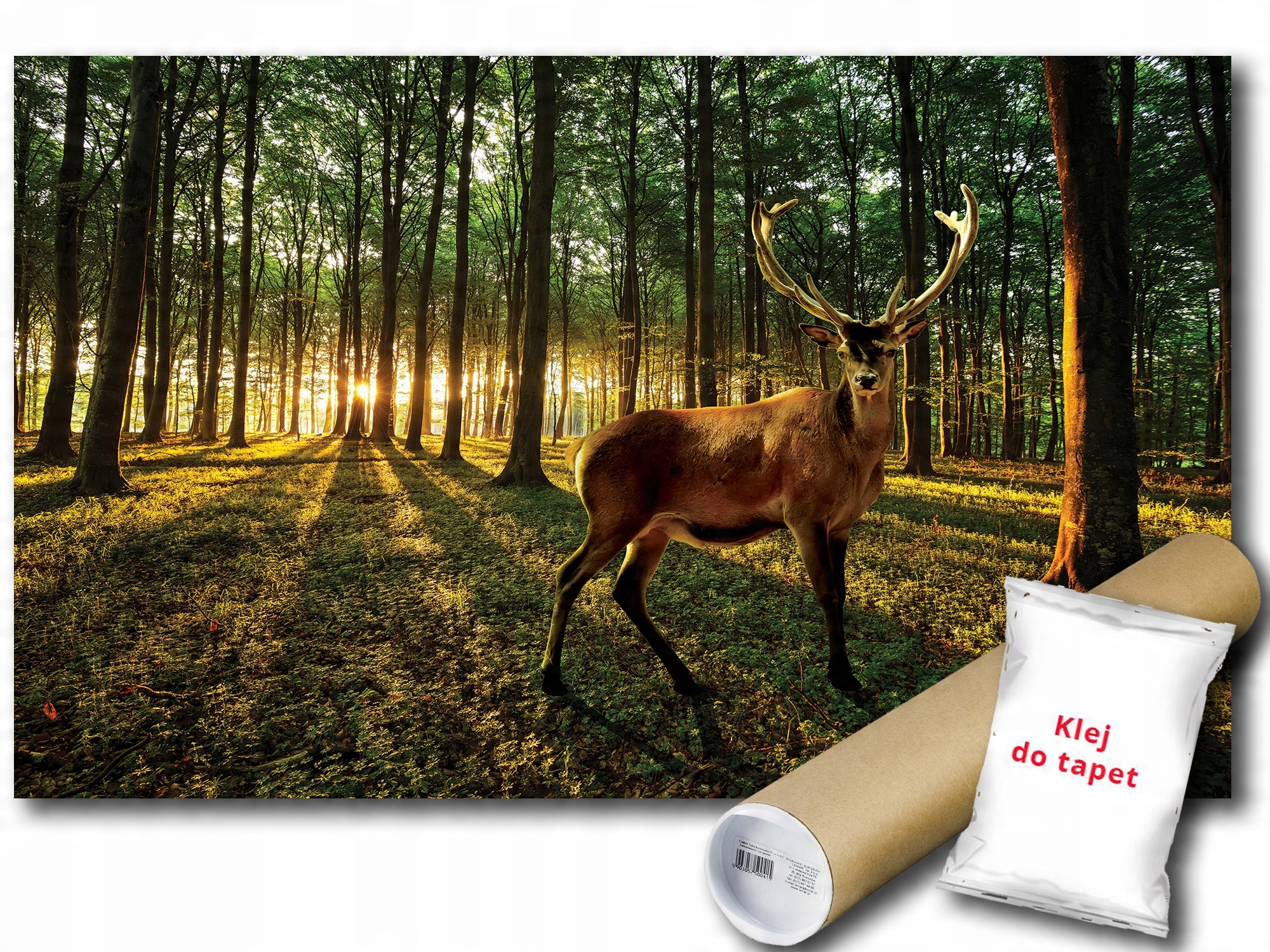 

Fototapeta Zachód Słońca 7A Fm 104x70,5 F3194