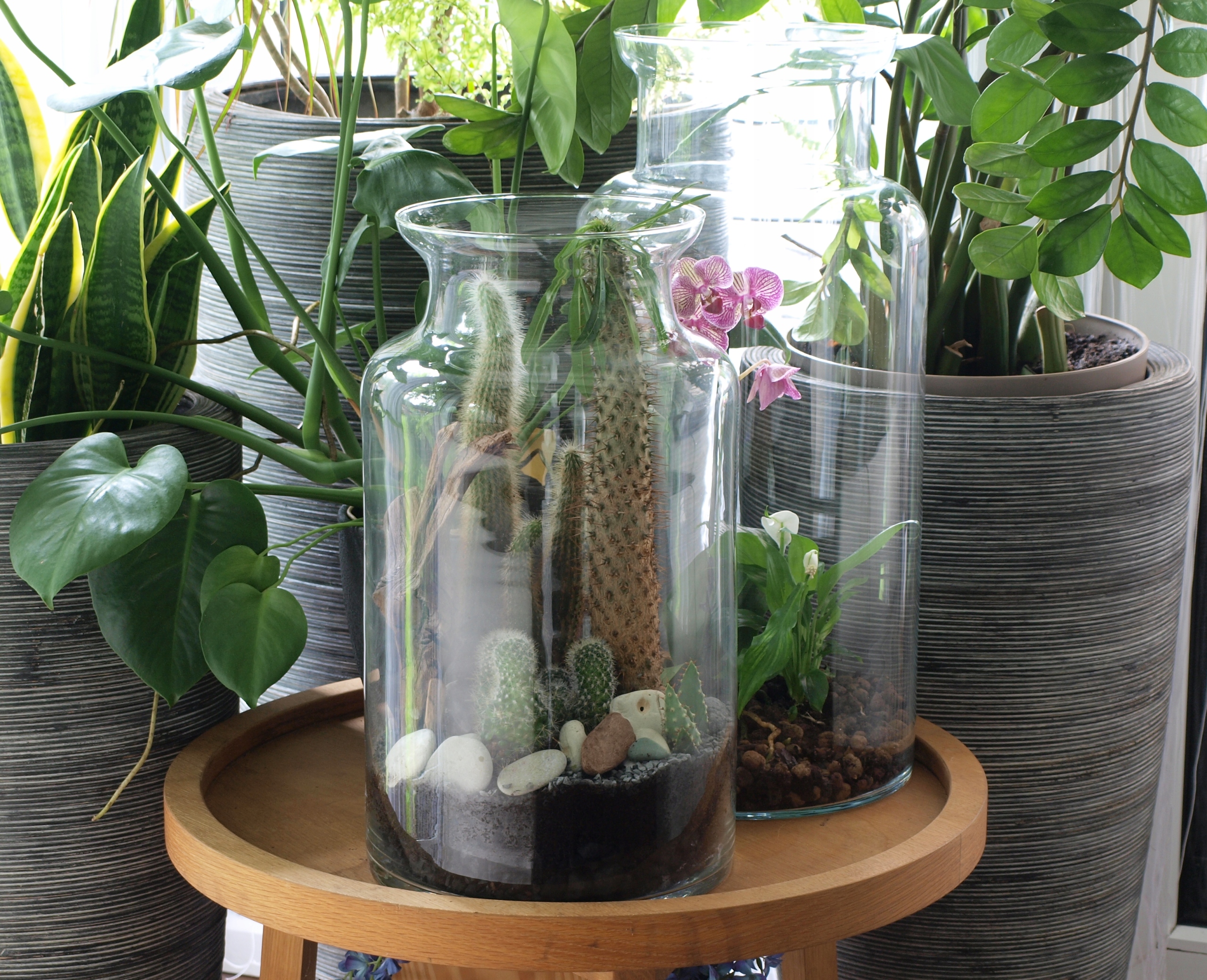 Wazon szklany słój Gigant S- H45 z korkiem las w s Kod producenta BCGI45KO