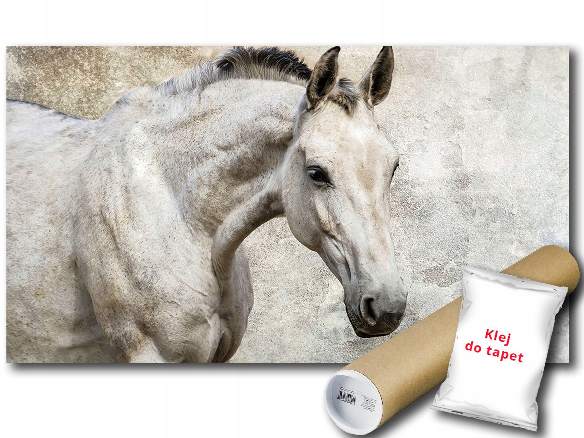 Fototapeta Biely Kôň 12B V8 368x254 F1218