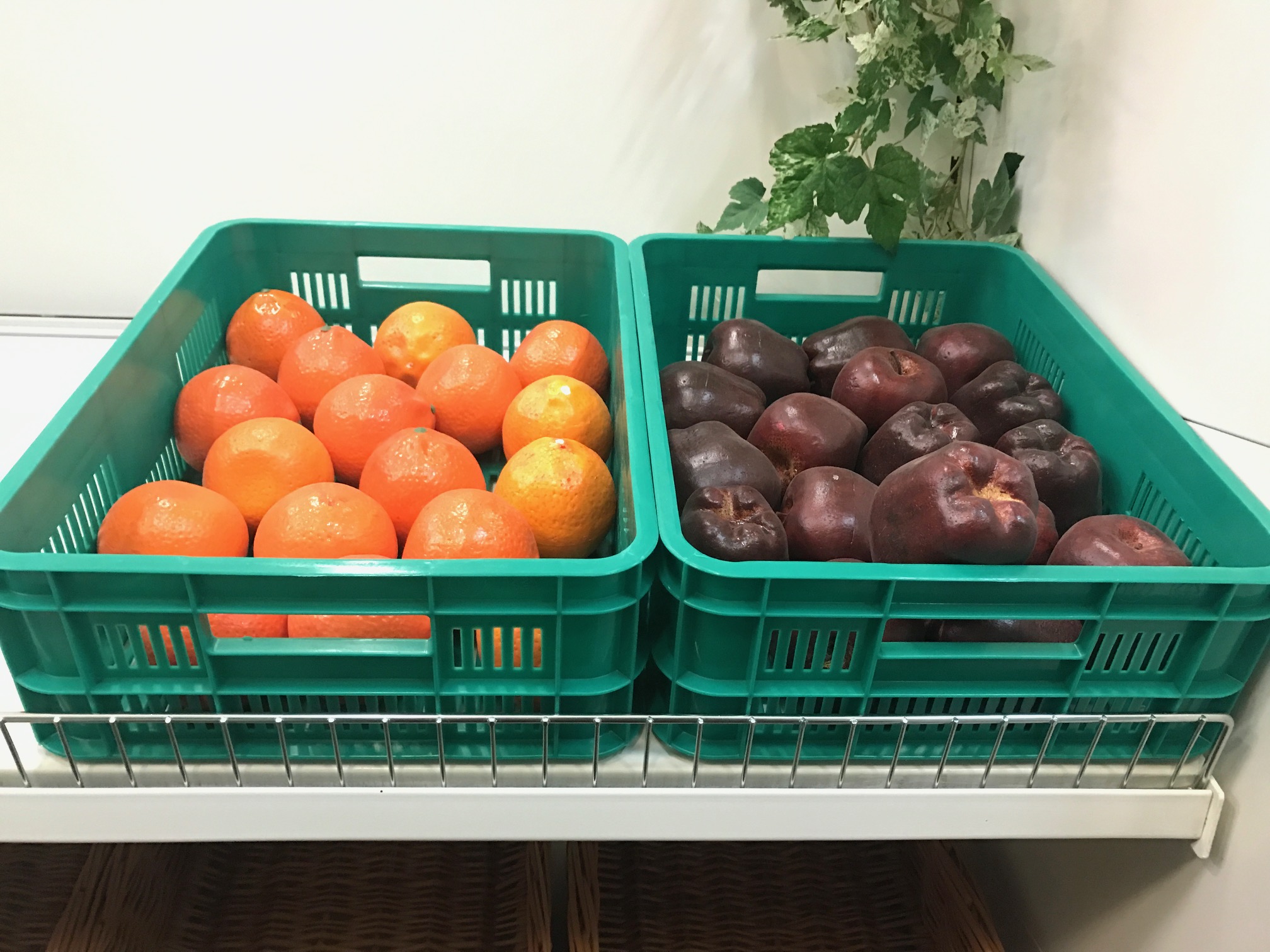 Пластиковые ящики для овощей и фруктов купить. Ящики для овощей и фруктов пластиковые. Ящик овощной пластиковый. Пластмассовые ящики для овощей. Ящики для хранения овощей пластиковые.