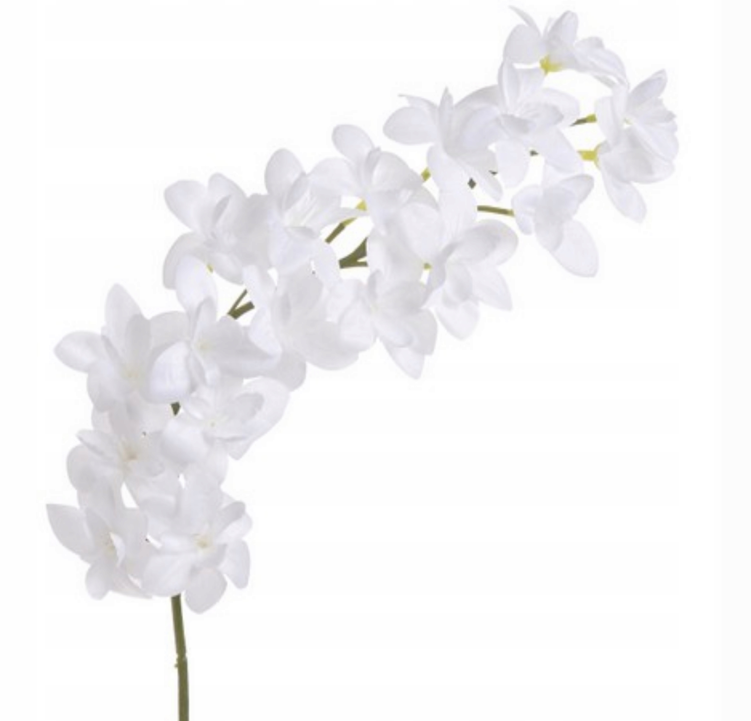 

Storczyk Biały Orchidea Gałązka Pojedyncza 92cm