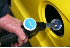 CHIP USUWANIE DPF ADBLUE Nox MAN EURO6 Typ samochodu Samochody ciężarowe