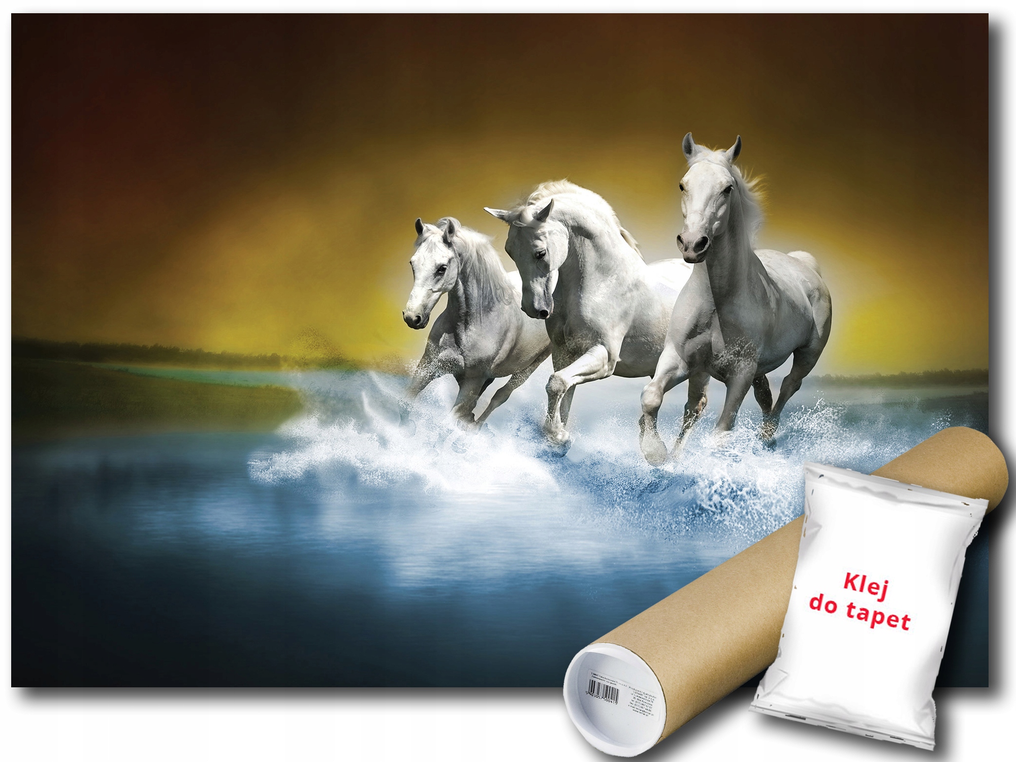 Fototapeta Koně Galop 12B V4 254x184 F425