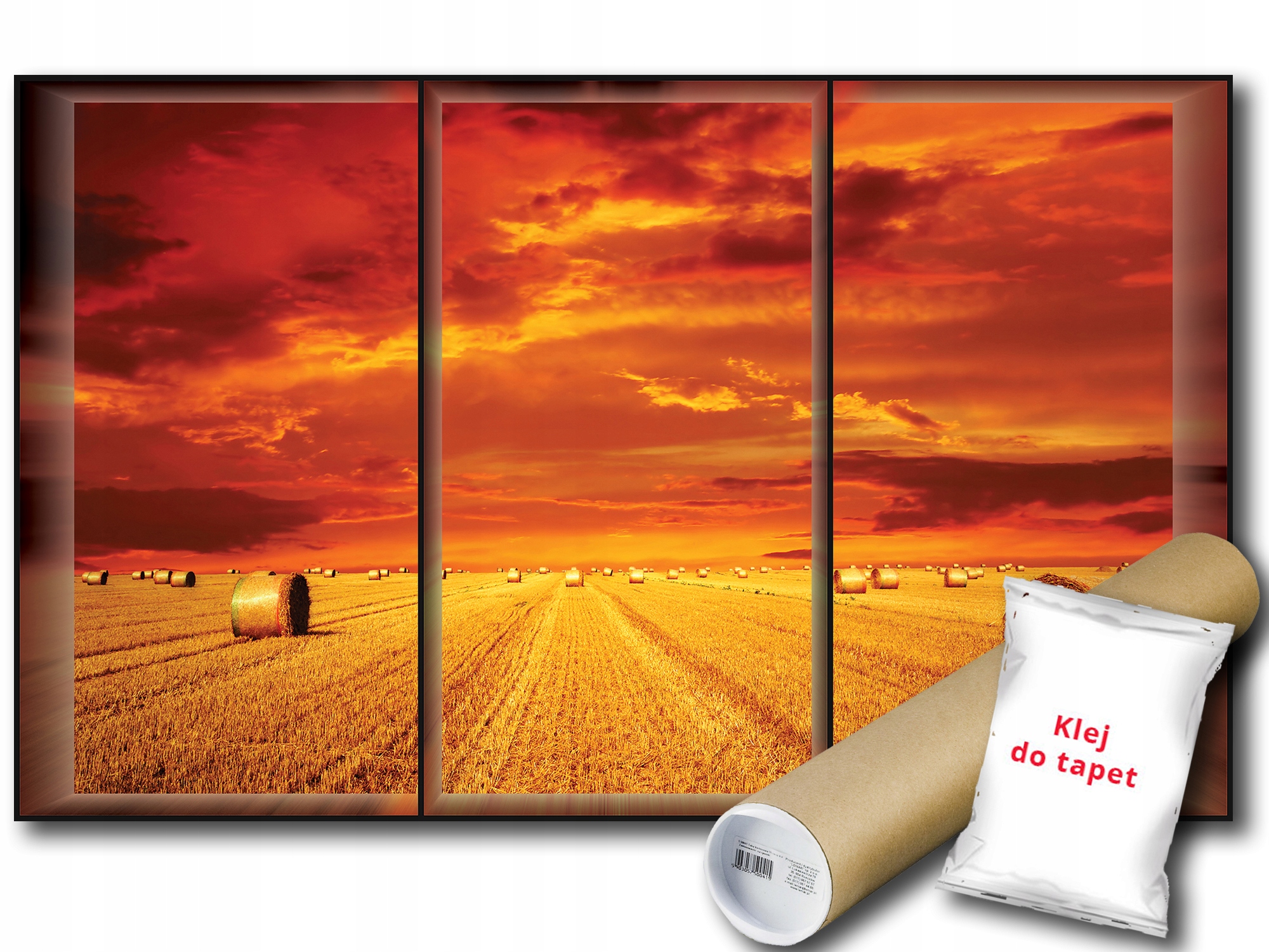 

Fototapeta Widok Pole Żniwa 18A F2XL 312x219 F498