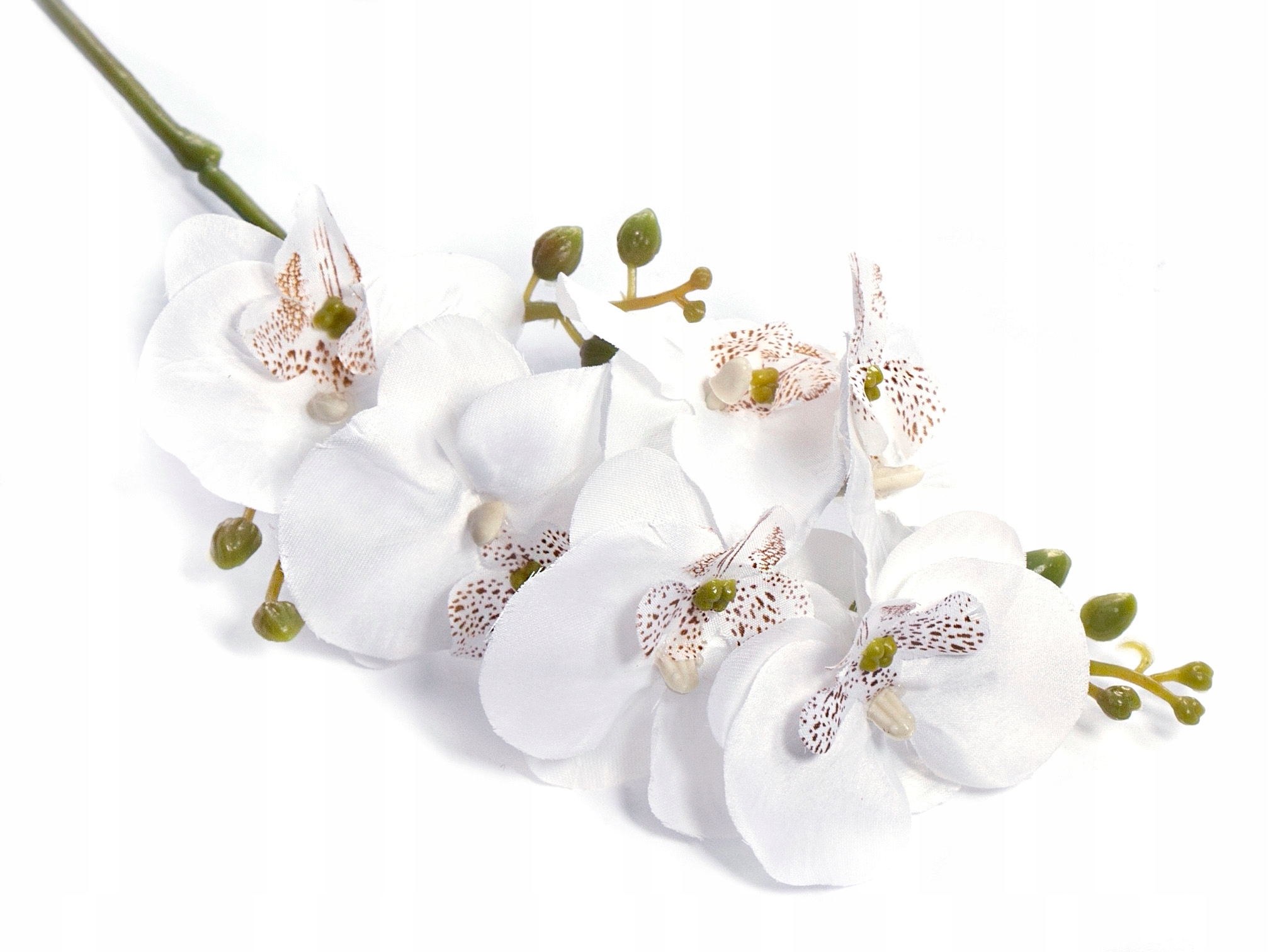 

Storczyk Biały Orchidea Gałązka Pojedyncza 55cm