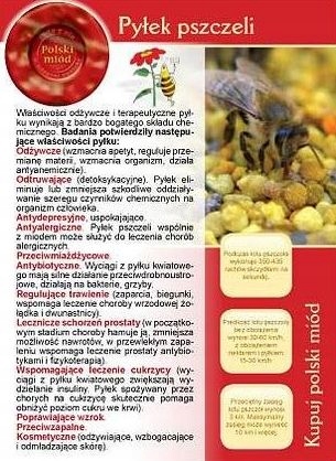 

Broszura informacyjna Pyłek Pszczeli ul pasieka