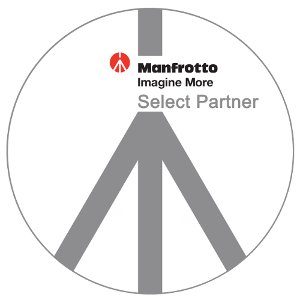 Manfrotto 393 Głowica gimbalowa do teleobiektywu Kod producenta 393