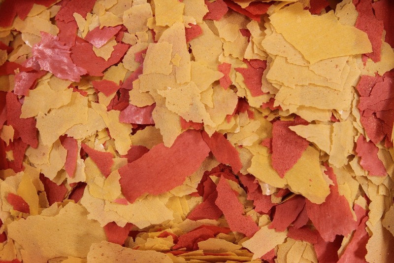 Levně Krmivo Pro Ryby S Vysokým Obsahem Bílkovin Eigelb MIX Glopex Krmivo Pro Ryby 25L/5KG