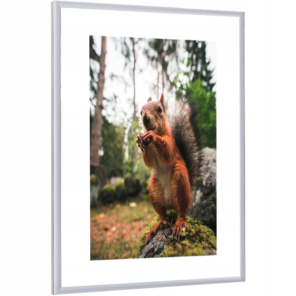 

Ramka Na Zdjęcia Srebrna Rama Aluminiowa 40x40