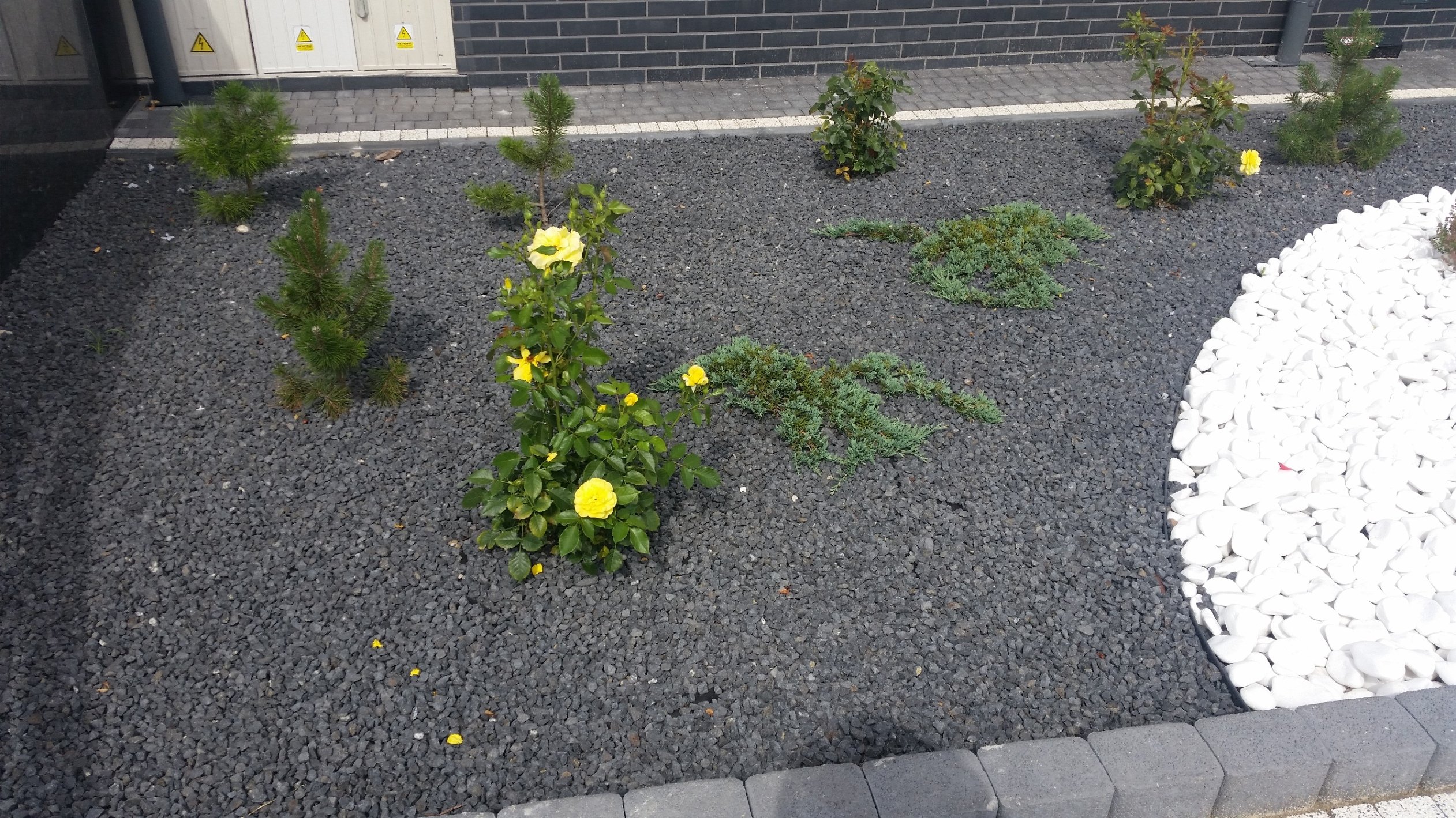 GRYS ŻWIR Bazaltowy Kamień do Ogrodu 20 kg HIT Waga 20 kg