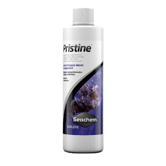Seachem Pristine 500ML Bakterie Oczyszcza Wodę