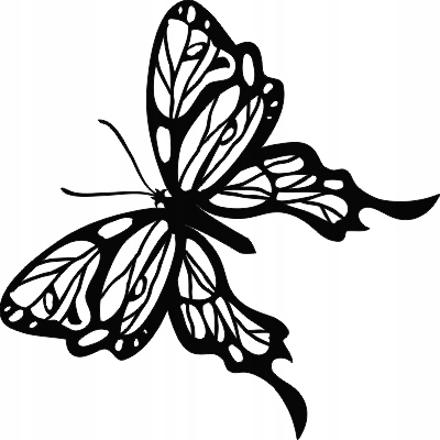 

Naklejka na ścianę z motylem Motyl 35 cm