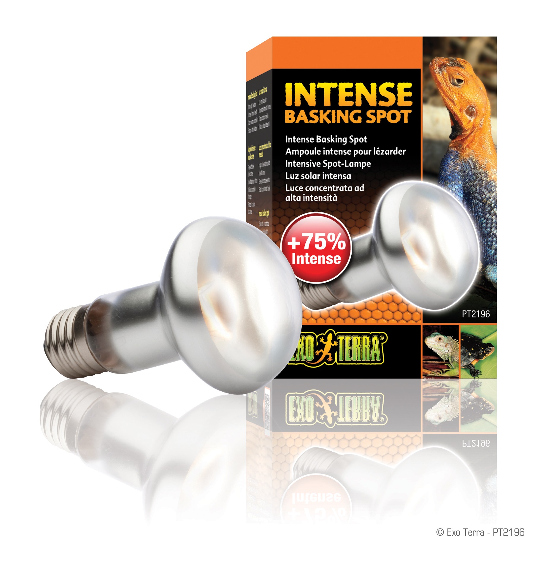 

Exo Terra Intense Basking Spot żarówka 25W