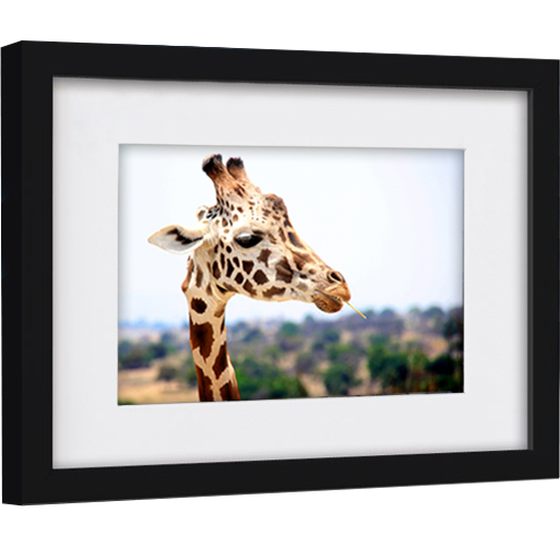 

Rama Drewniana Czarna 3D 21x30 Passe-partout 15X21